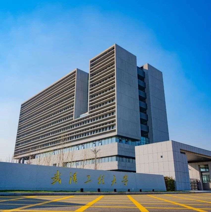 2024年武汉工程大学艺术类专业招生章程
